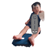 482494998