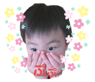482495020