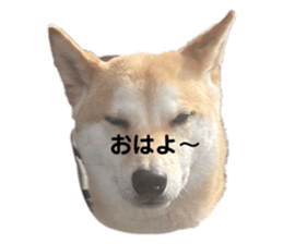 482503067