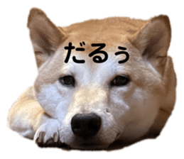 482503069