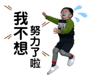 482682412