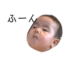 482690241