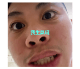 482752121