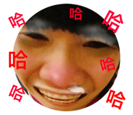 48275747