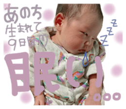 48280775