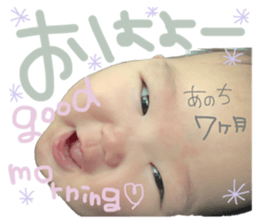48280790
