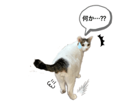 482809918
