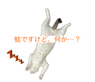 482809924