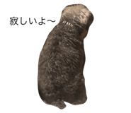 482812108