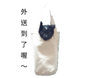 482812991