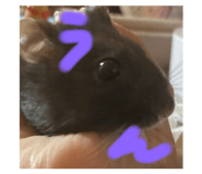 482816632