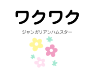 482816642