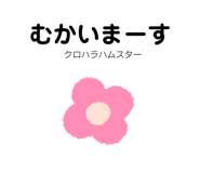 482816653