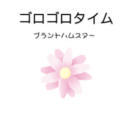 482816663