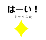 482816667
