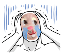 482855474