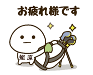 482865805