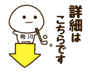 482866407