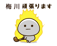 482866420