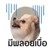 482897661