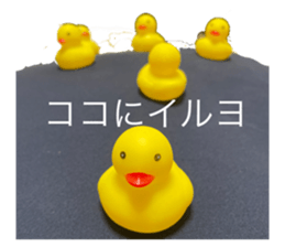 482968673