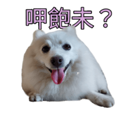 482970238