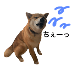 482987714