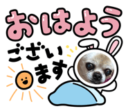 483015931