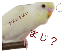 483066050