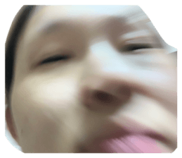 483081819
