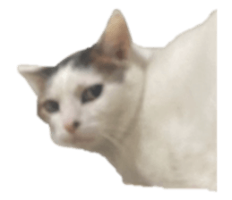 483087996