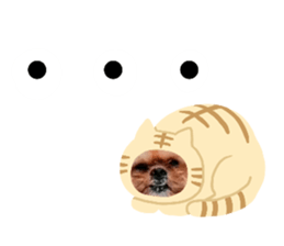 483093057