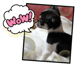 483228801