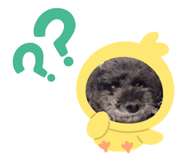 483244549
