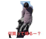 483244560