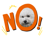 483247761