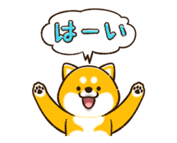 483250182