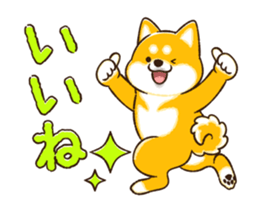 483250186