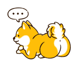 483250194