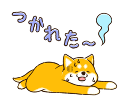 483250202