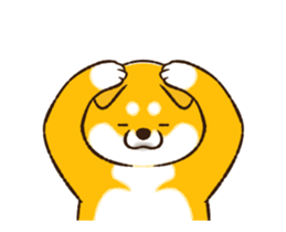 483250204