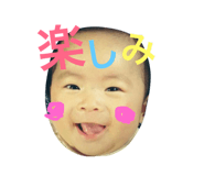 48329644