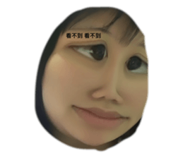 483315305