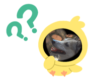 483325040