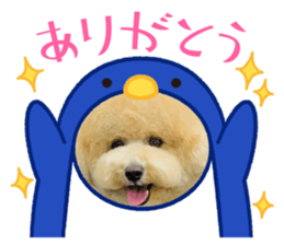 483335342