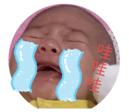483437004
