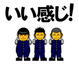 48351187