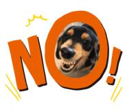483521913