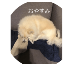 483523317