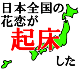 483530555